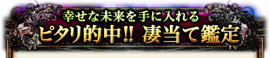 幸せな未来を手に入れる ピタリ的中！凄当て鑑定